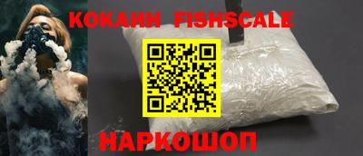 гашик Кимры