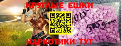 гашик Кимры