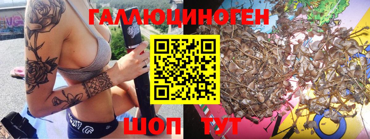 Галлюциногенные грибы мицелий  Вход с VPN  Псилоцибиновые грибы MAGIC MUSHROOMS  Конаково 